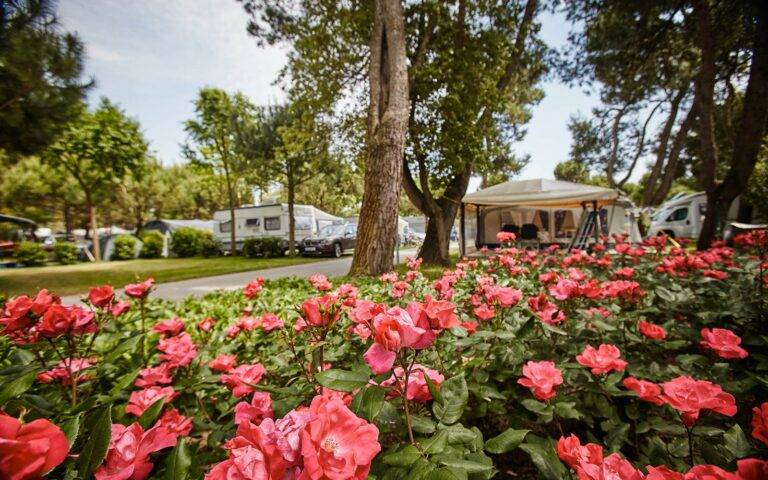 1-Piazzole-Camping-Dei-Fiori
